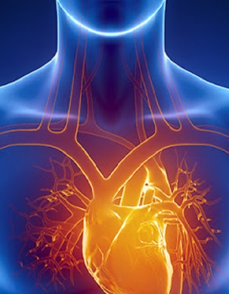 Le malattie cardiovascolari come possibili intermediari tra trauma cranico e malattie neurologiche